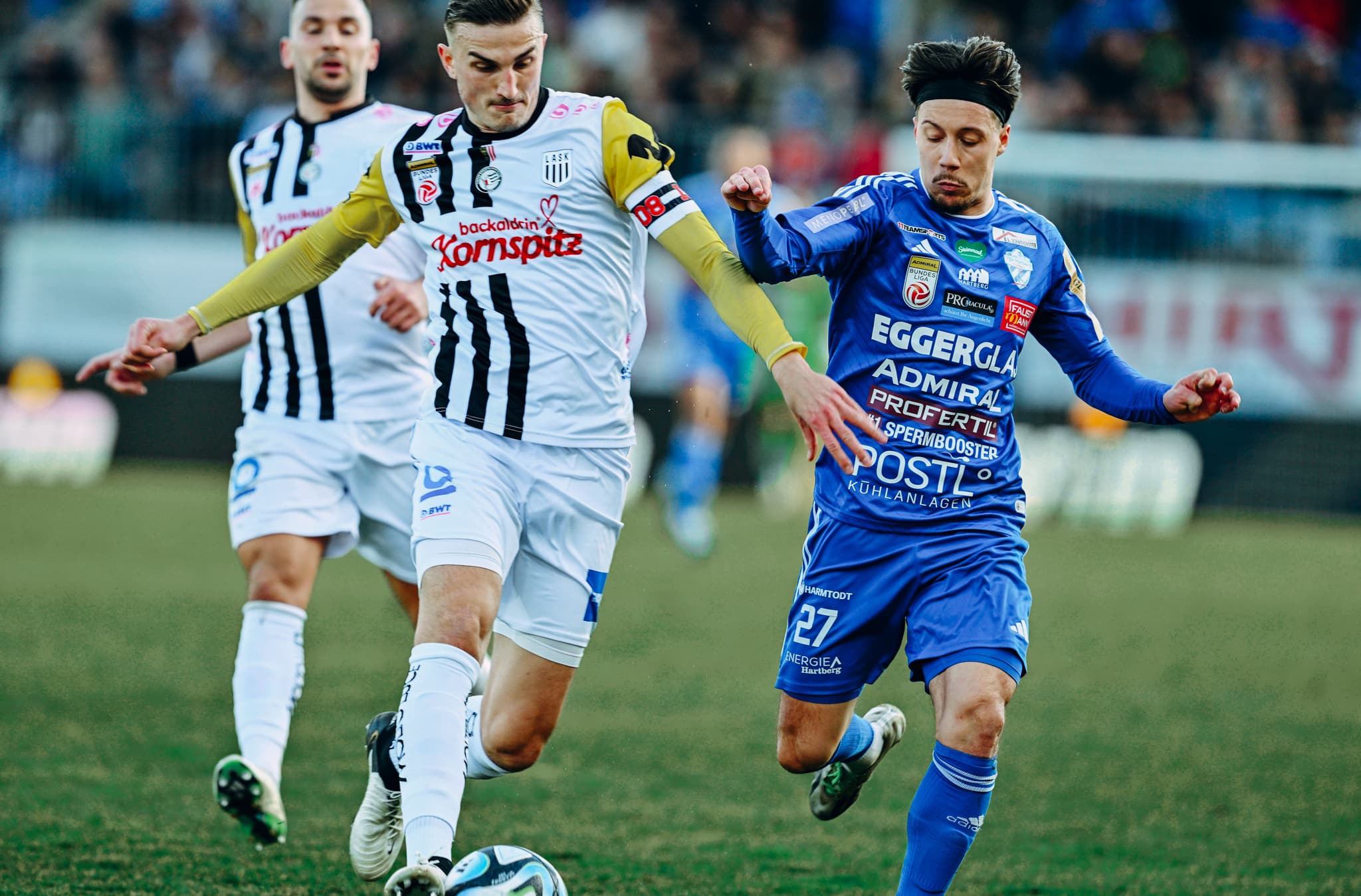 Beitragsbild Vorbericht ASKHTB