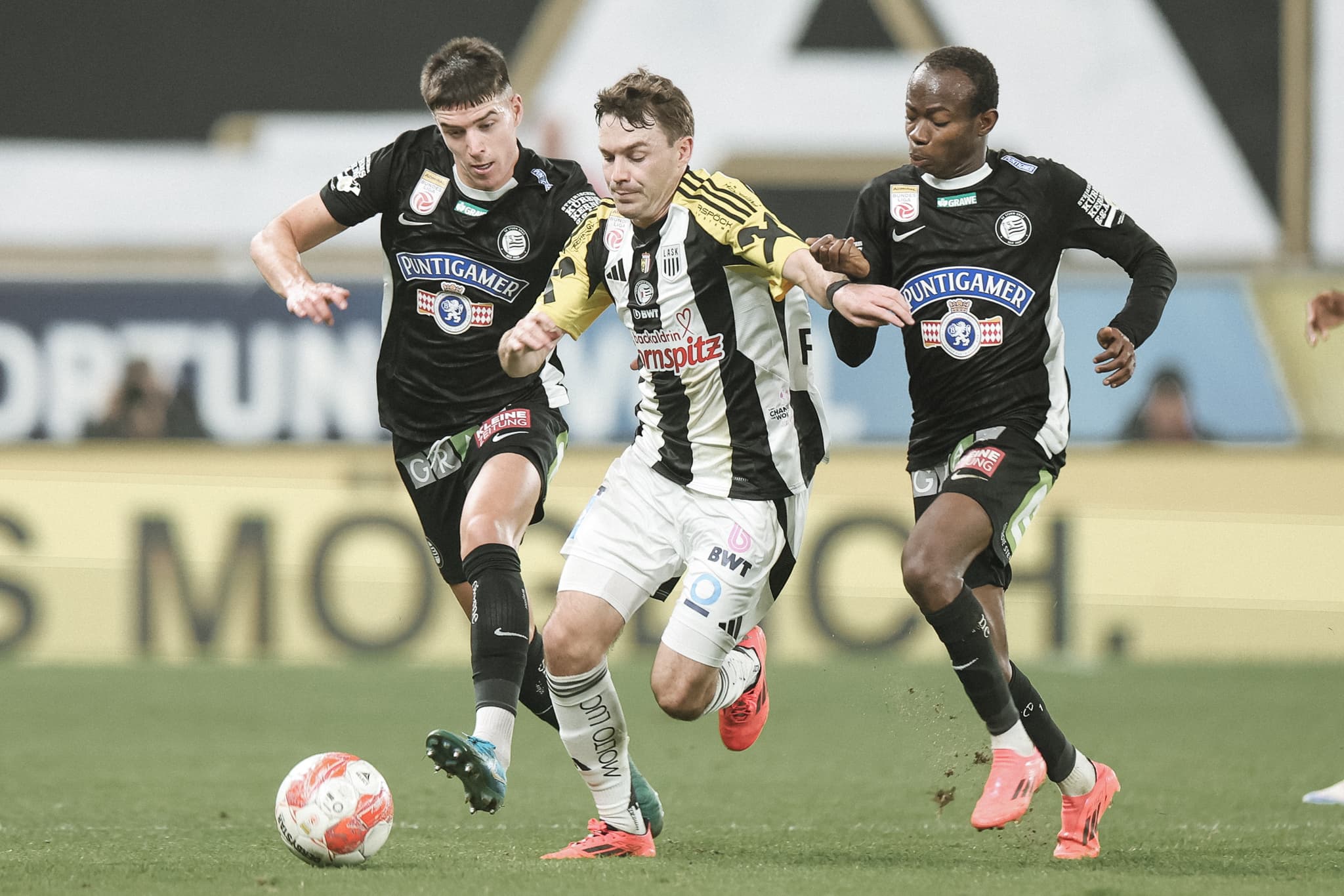 Flecki Beitragsbild 2