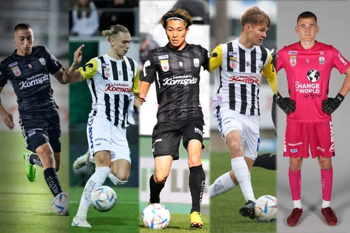 Laenderspiel Collage