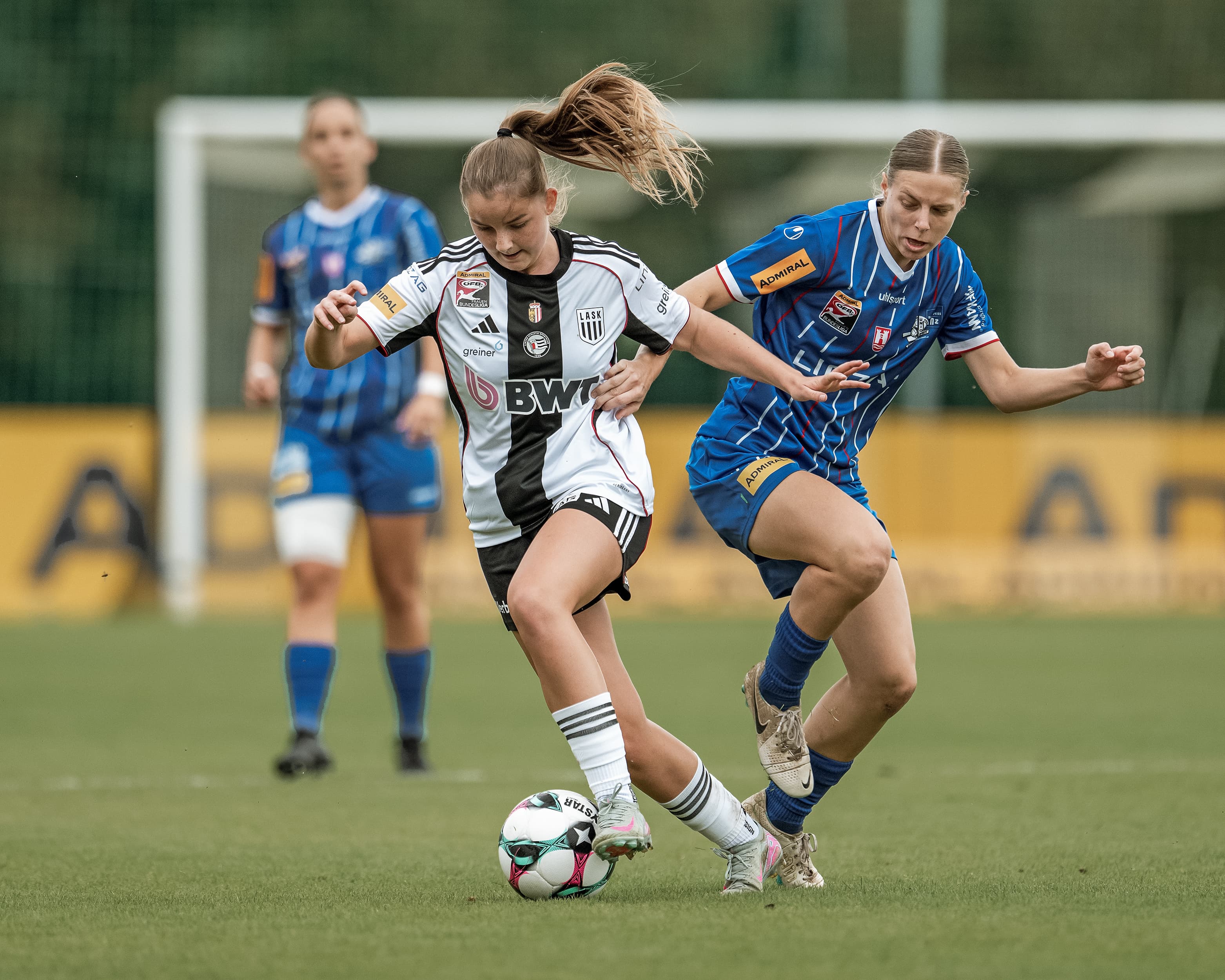 Head Derby Frauen