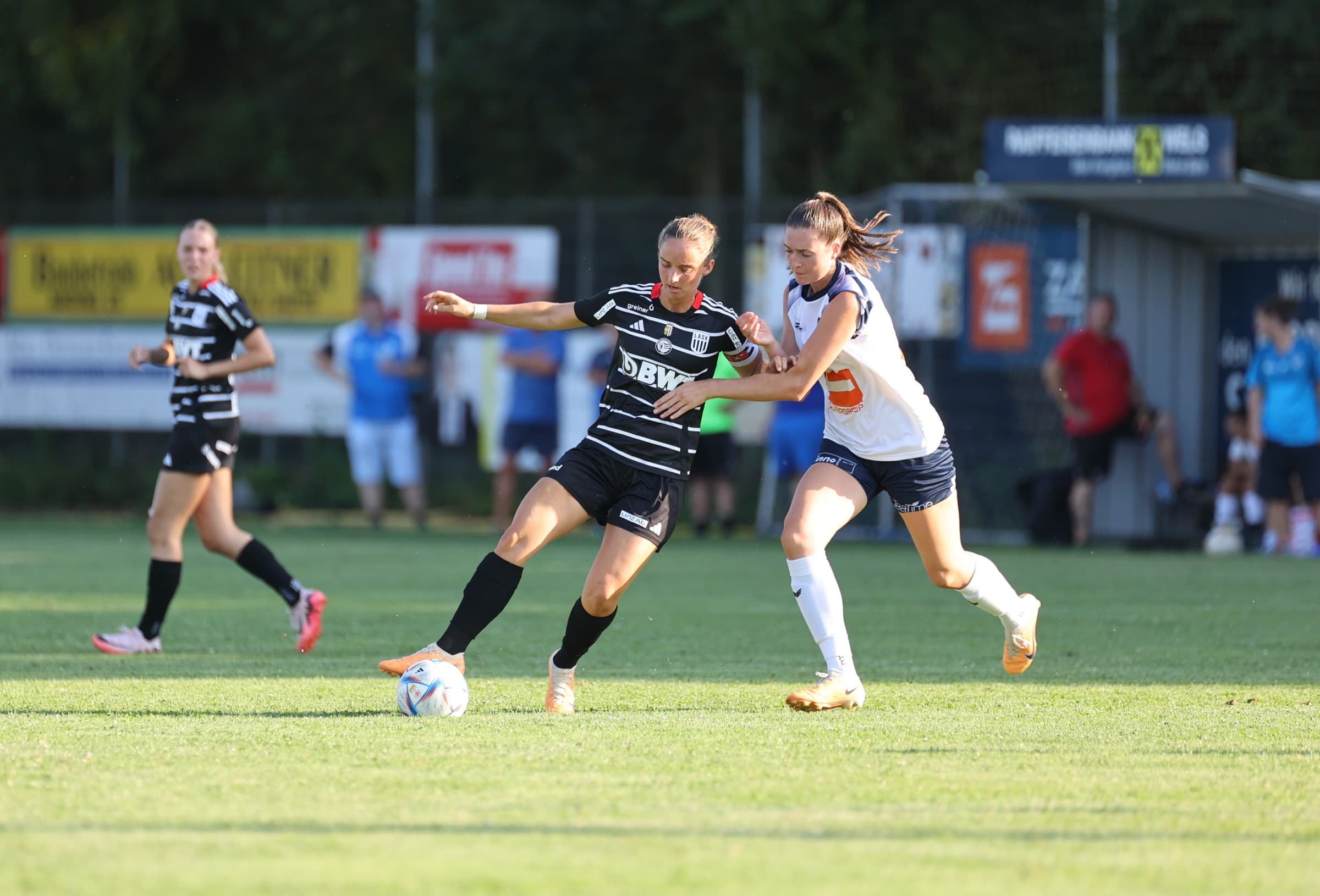 Kofler Header vs Krenglbach