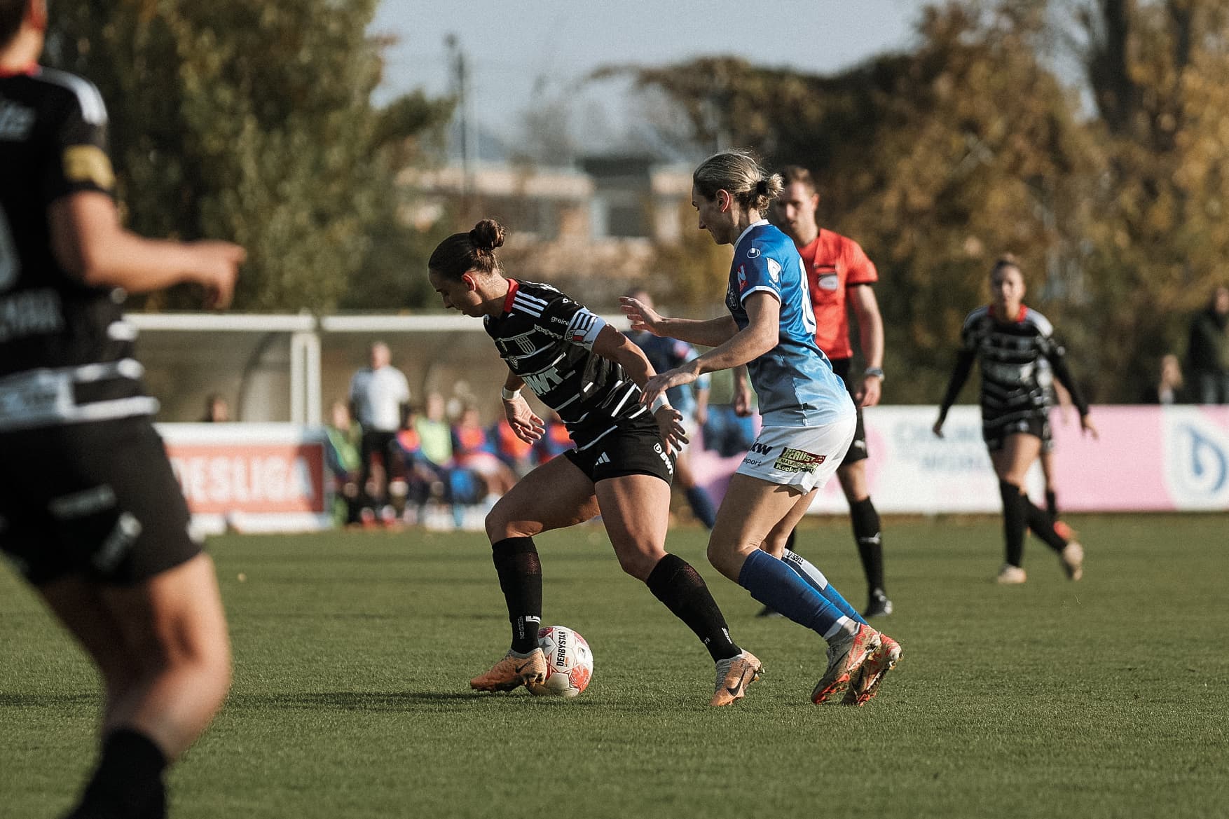 Whats App Bild 2024 11 09 um 15 55 53 9d0e9a15 2