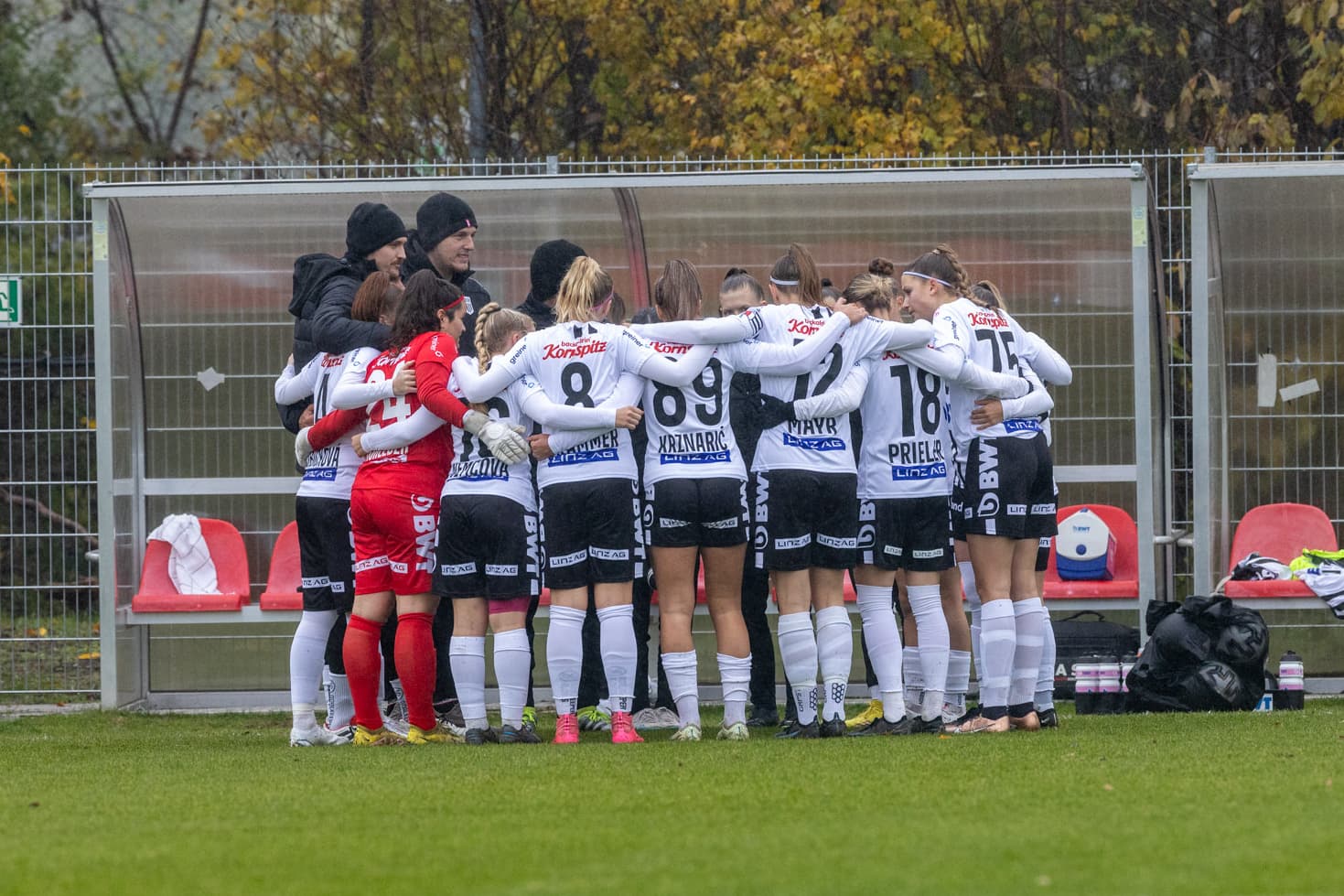 Header Cuptermninierung