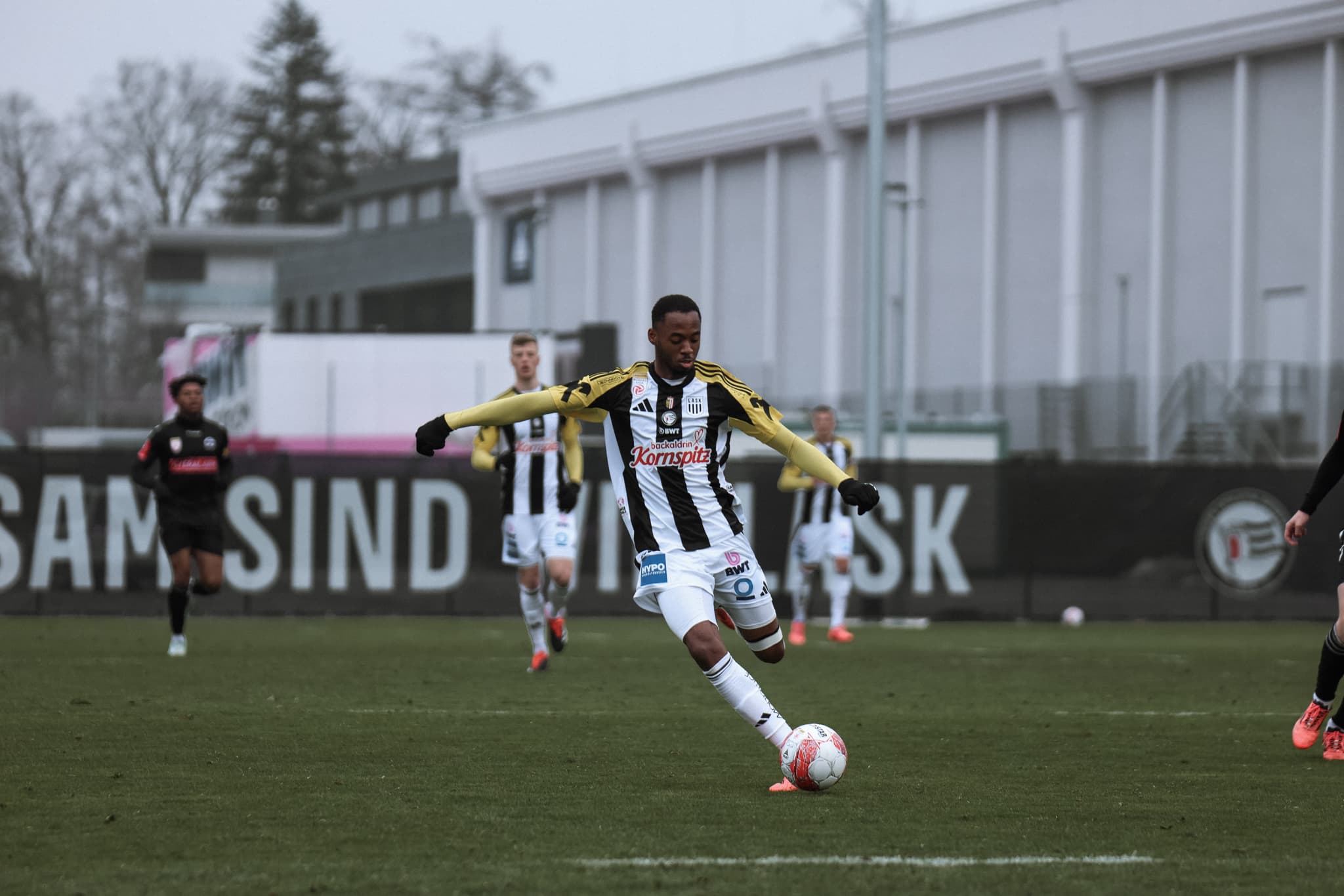 Whats App Image 2025 01 21 at 15 06 11 3