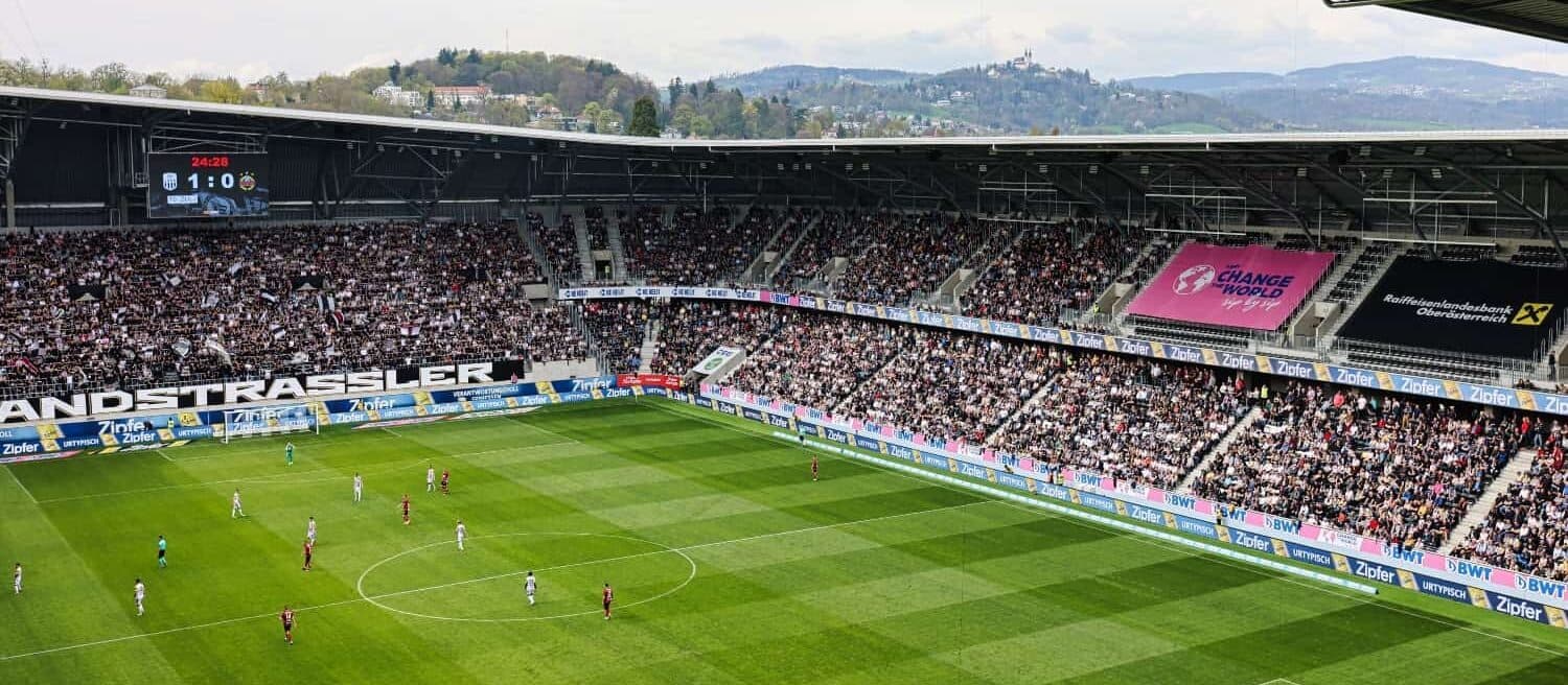 Faninfos mg e1683270271834