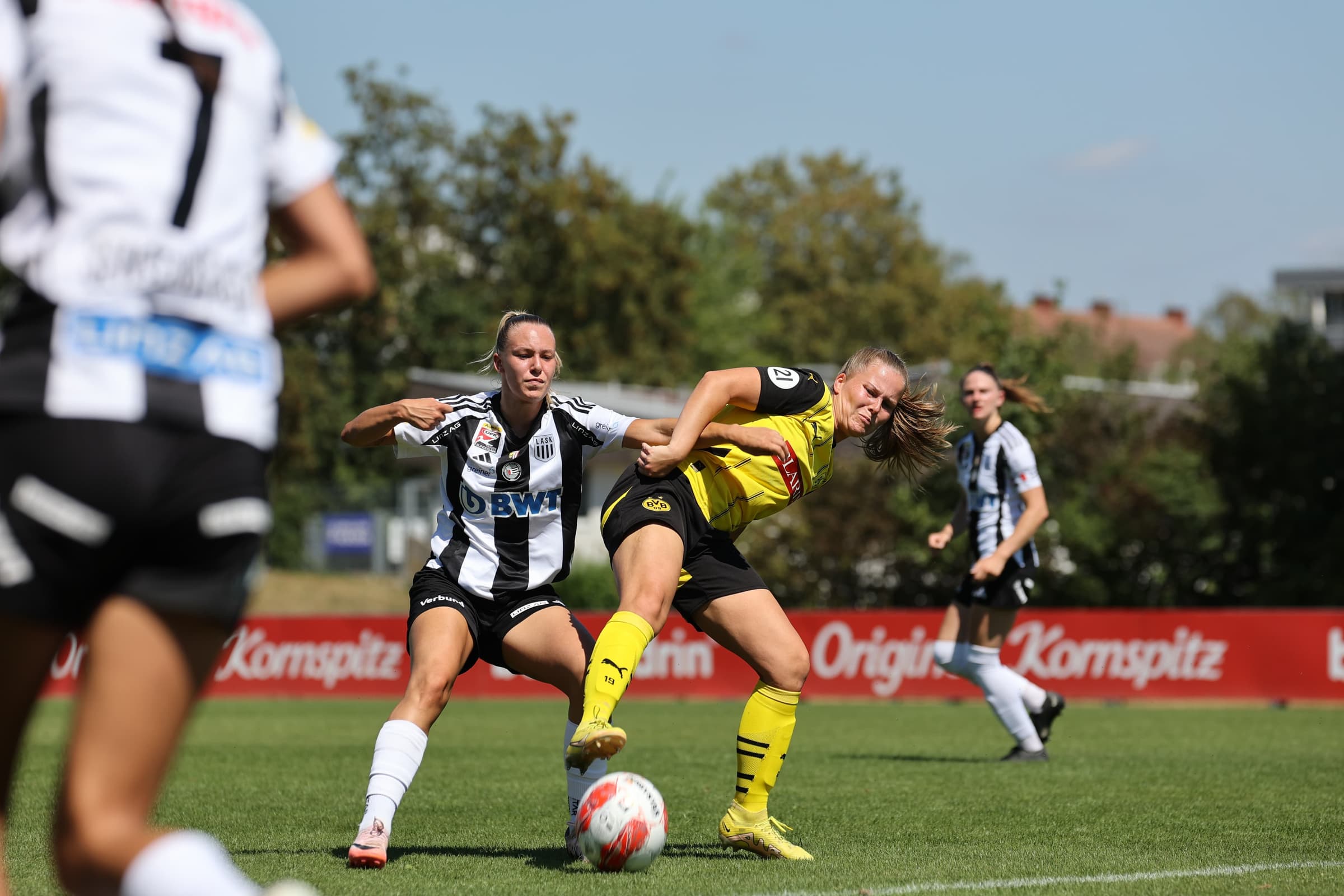 Whats App Bild 2024 08 11 um 14 42 16 65b73863